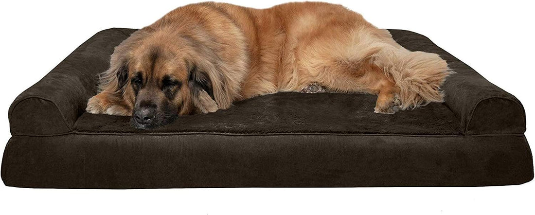Furhaven Orthopedic Dog Bed for Medium/Small Dogs w/ Removable
