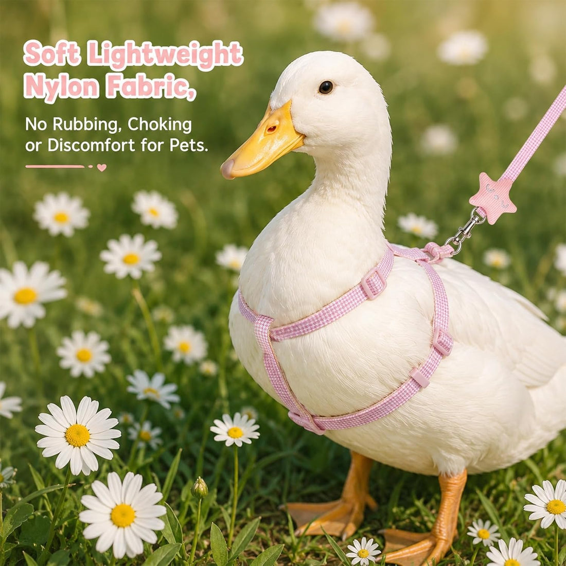 Andibro 2 Pcs Adjustable Chicken Harness and Leash Set