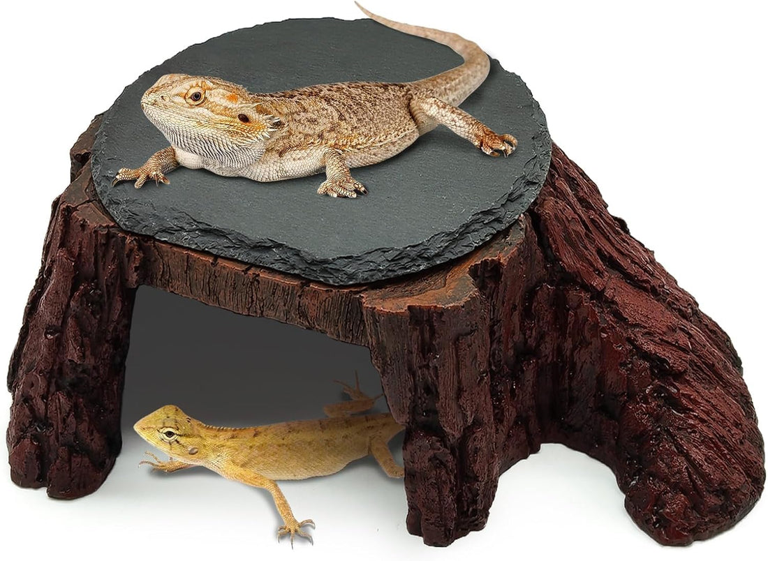 Bearded Dragon Basking Platform,Reptile Hide Cave with Basking Rock