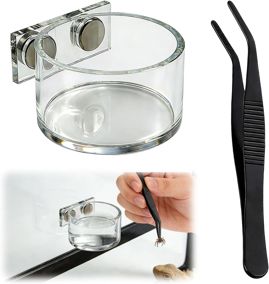 Jumping Spider Feeding Dish 1 Pack Magnetic Water Bowl with Tweezers