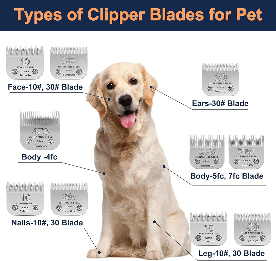 3 Pack 10 Clipper Blade Compatible with Andis