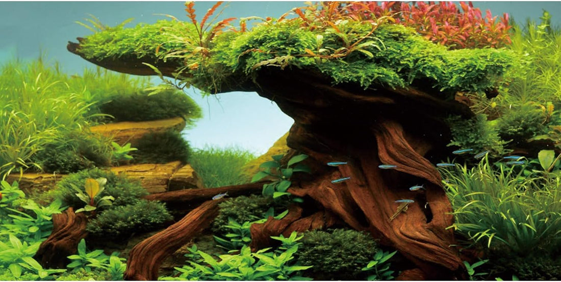 AWERT 48x24 inches Driftwood Fish Tank Background Seaweed Aquarium