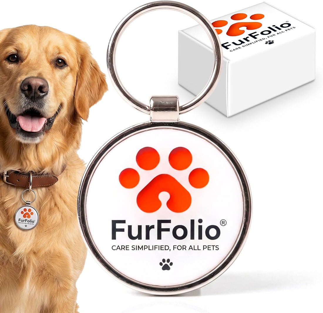 QR Code Dog Tag for Dogs & Cats – Smart Pet ID Tag