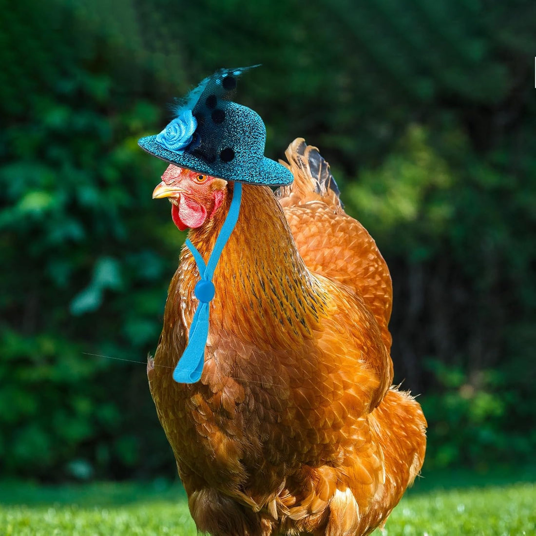 6-Pack Mini Chicken Hats for Hens, Dolls Hats, Cute Decorations
