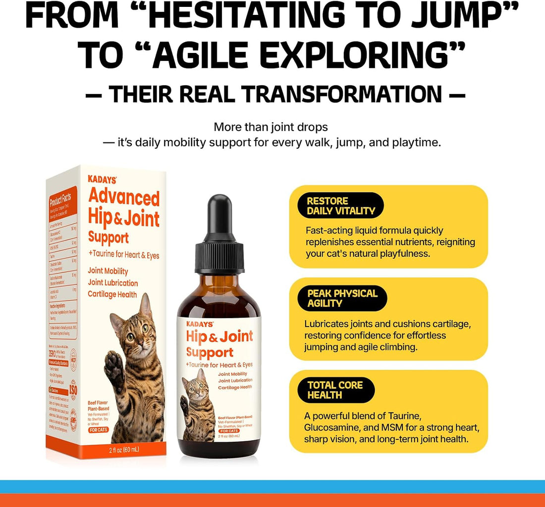 Liquid Glucosamine for Cats 2-Pack