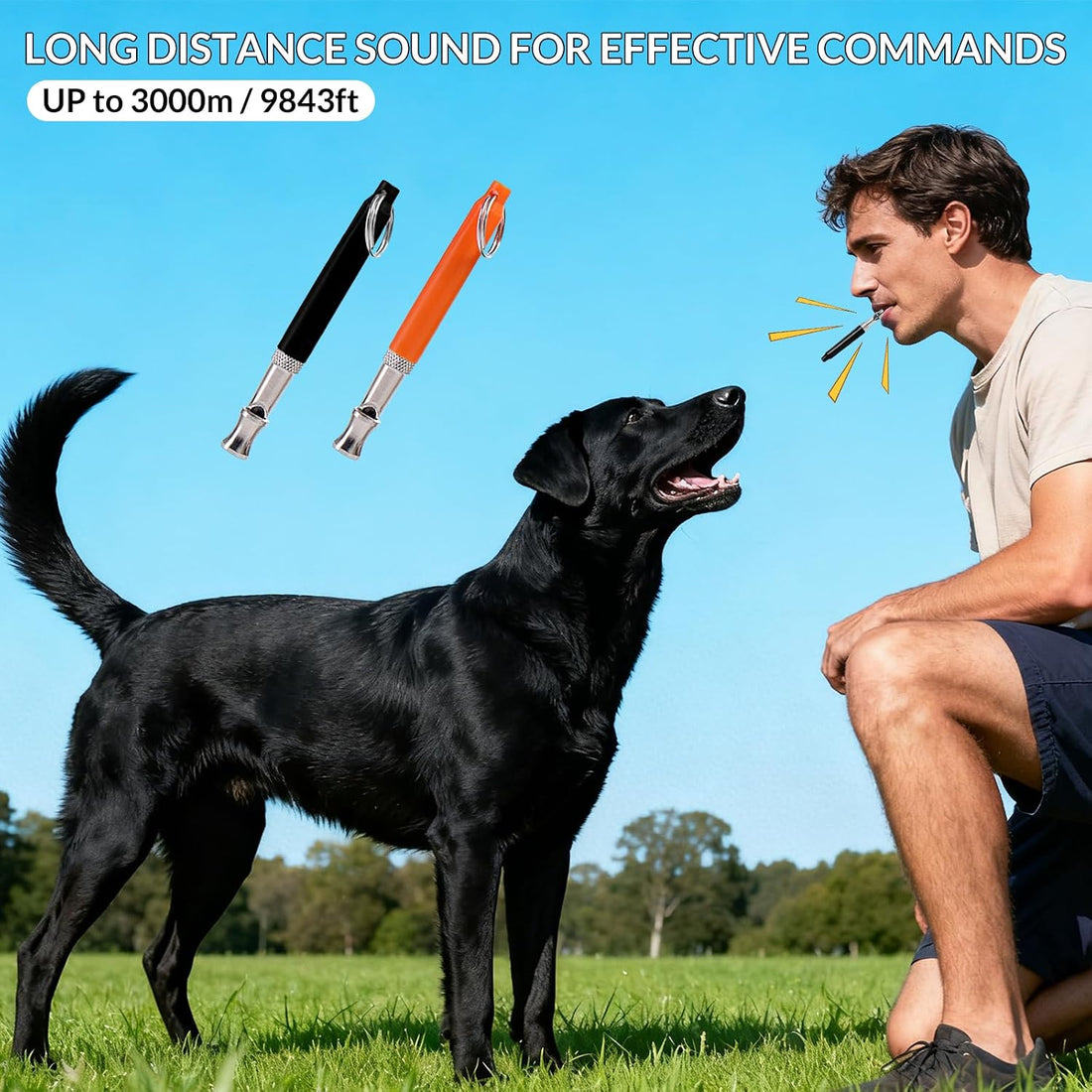 2 Pack Ultrasonic Dog Whistles