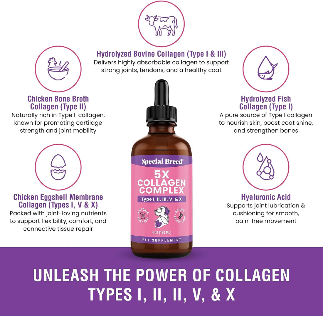 Premium Collagen for Dogs - Liquid Support for Joints, Skin, Coat