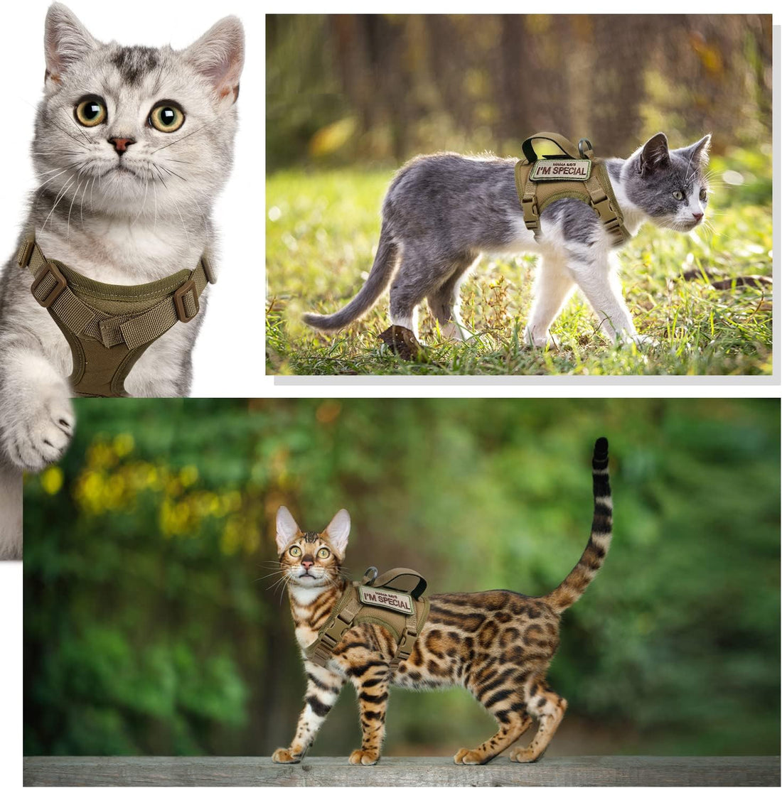Tactical Cat Harness for Walking Escape Proof