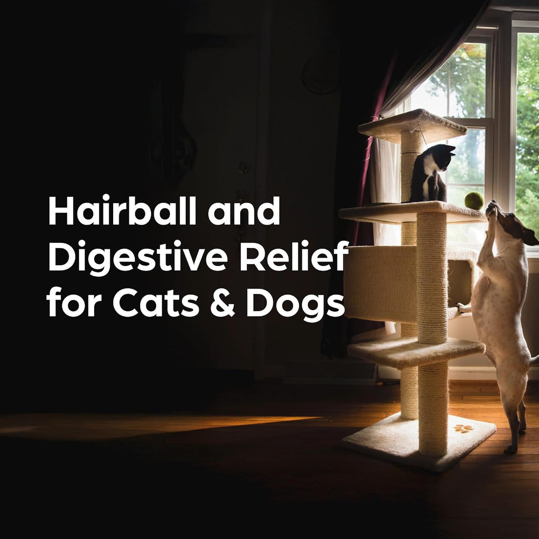 Lax'aire Laxative and Lubricant for Dogs and Cats