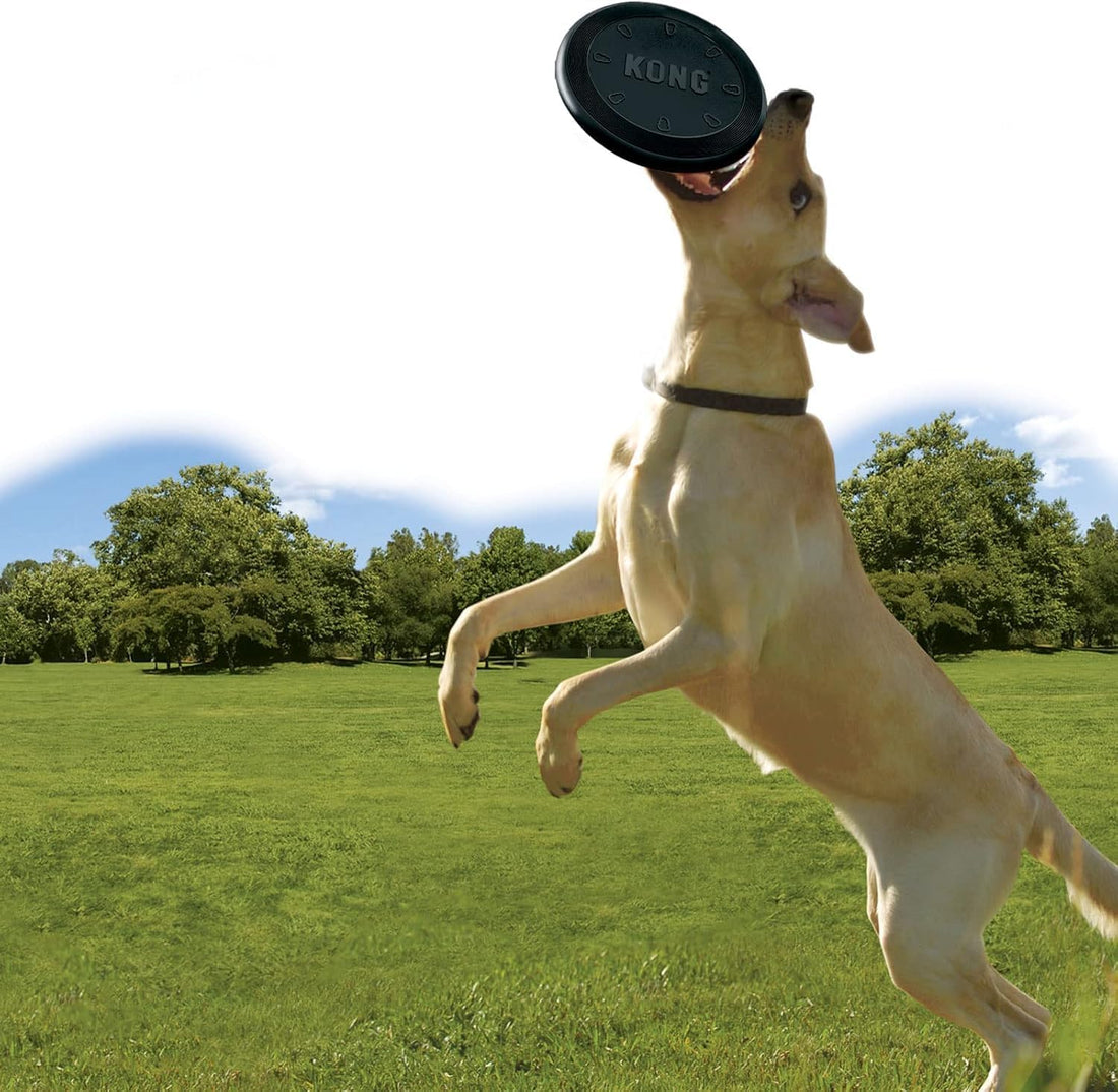 KONG Extreme Flyer, Durable Soft Rubber Flying Disc, for Large Dogs