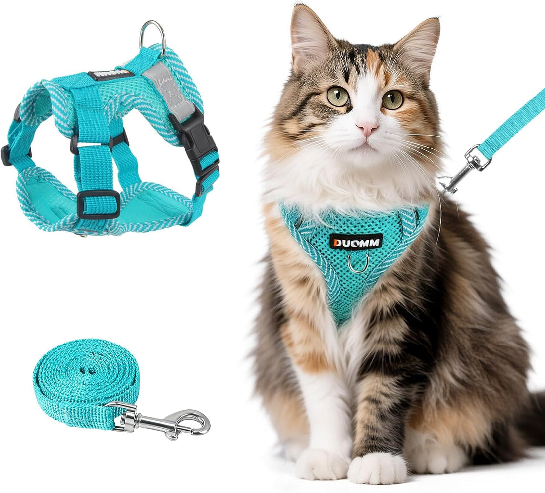 wanheart Cat Harness and Leash Set