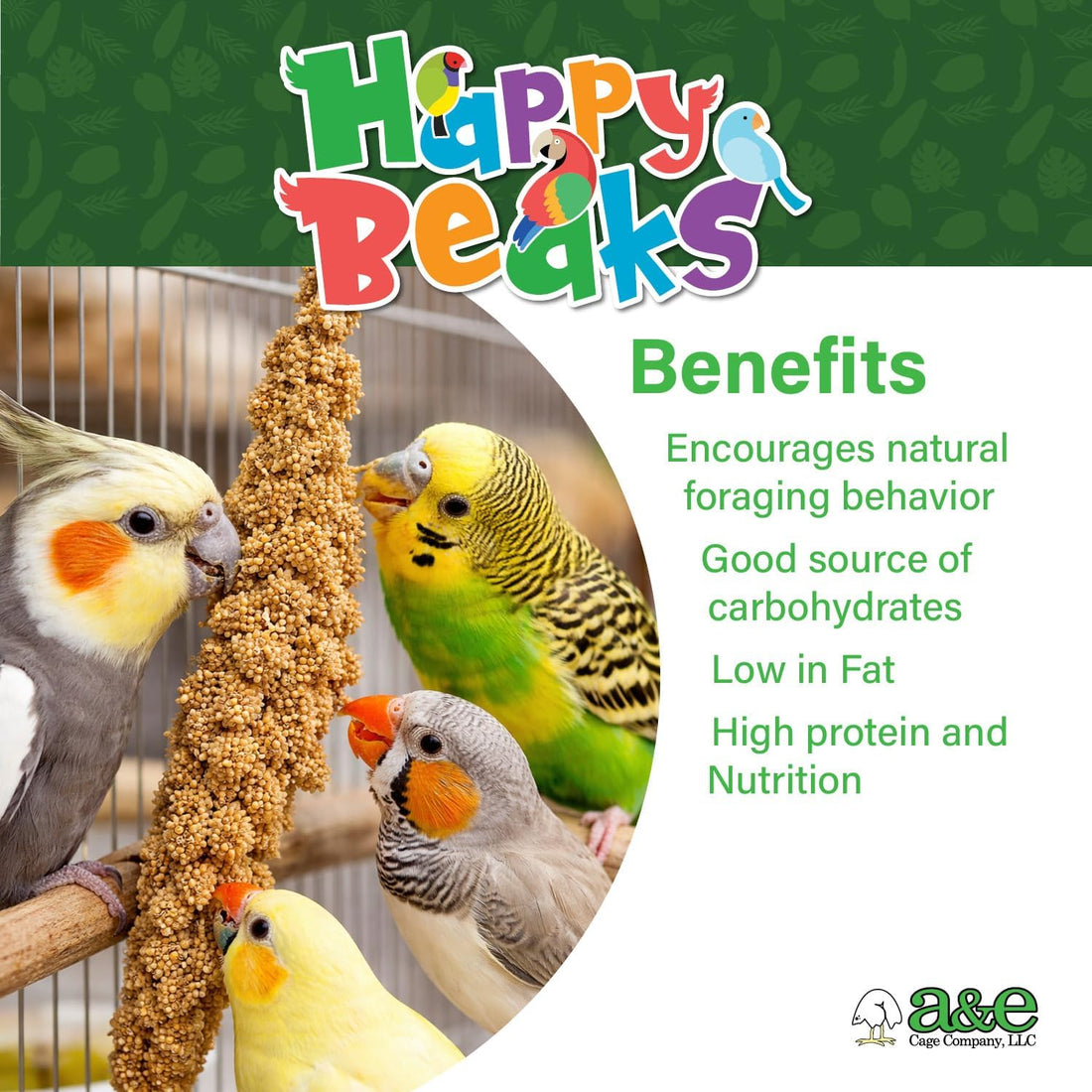 A&E Cage Co AE9054 Premium French Spray Millet for Birds