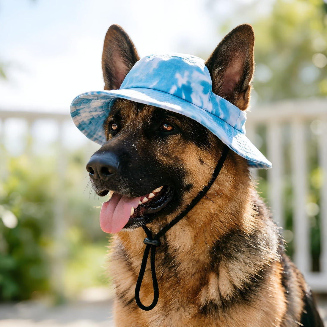 Dog Bucket Hat with Ear Holes, Adjustable Summer Sunscreen Cap