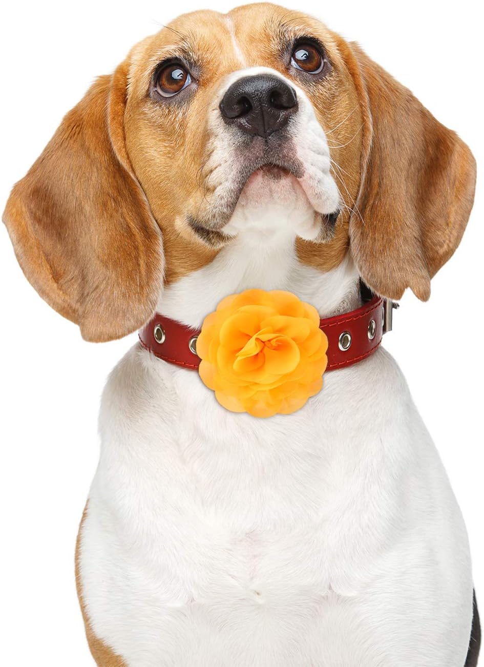 WILLBOND 8 Pcs Dog Collar Flower Bow Tie for Pet Grooming, Multi-color