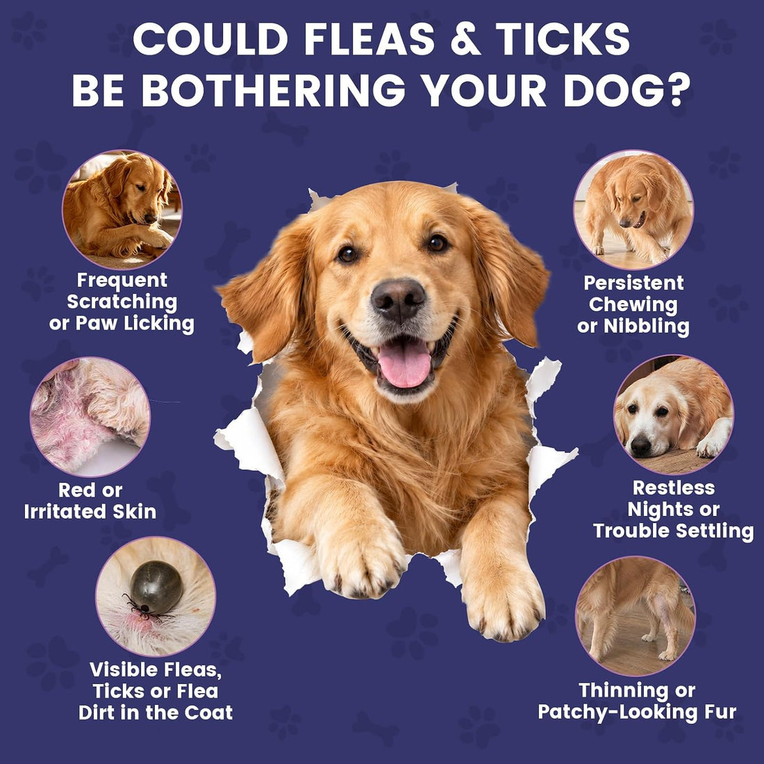 Flea and Tick Prevention for Dogs - 180 Natural Soft Chews