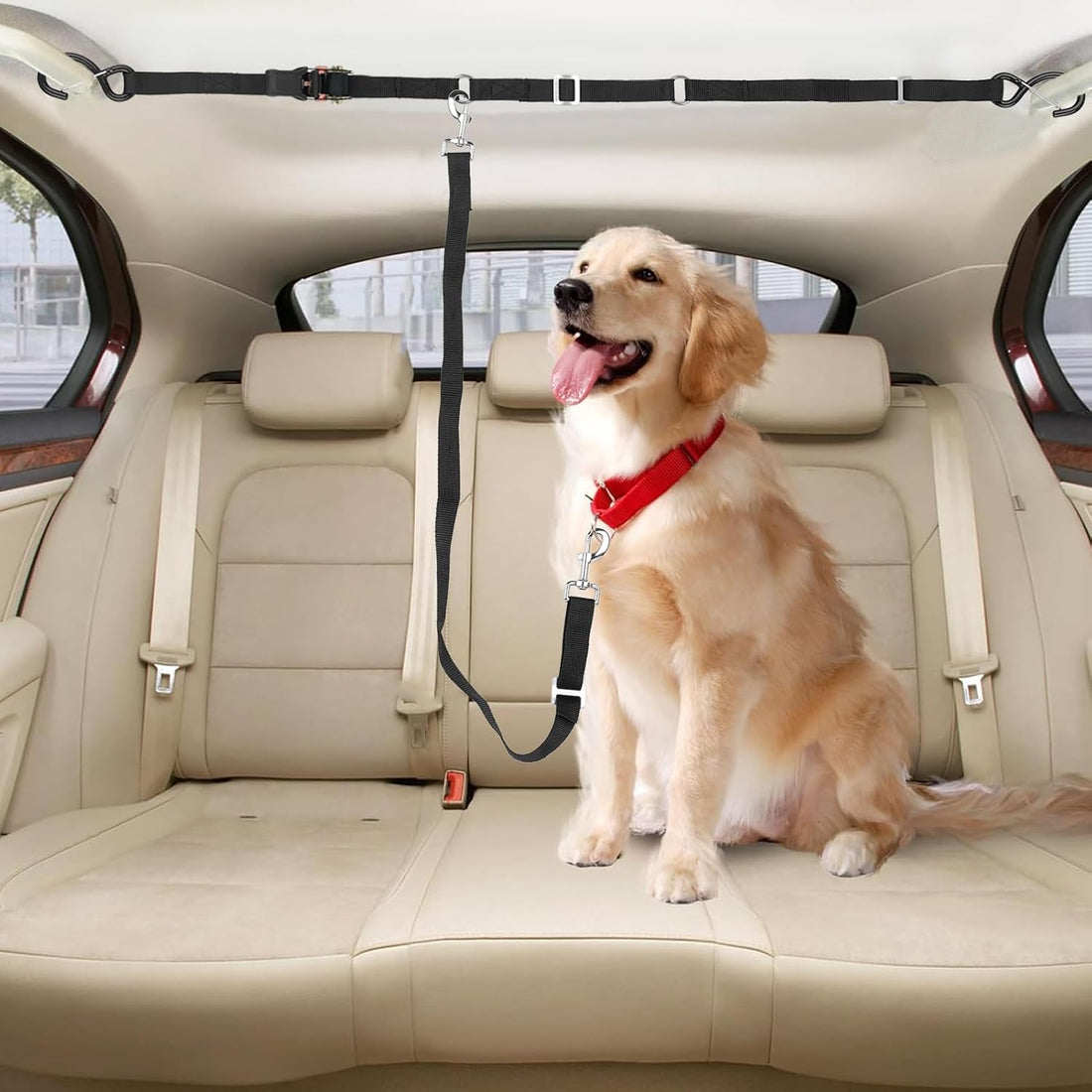 SKIPWALL Truck Bed Dog Tether for Two Dogs,Ratchet Tightening
