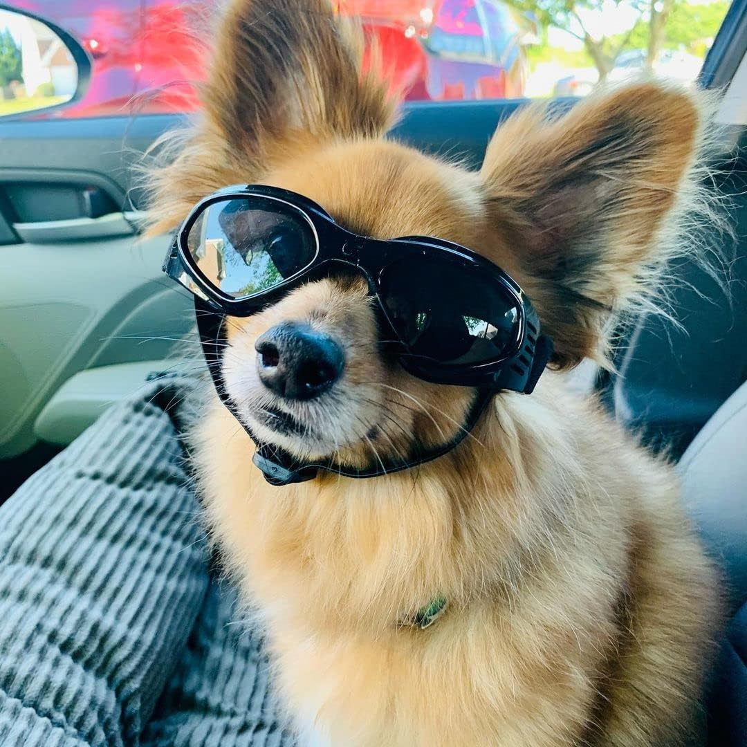 Dog Goggles Medium Breed, Dog Sunglasses for Medium Dogs Eye