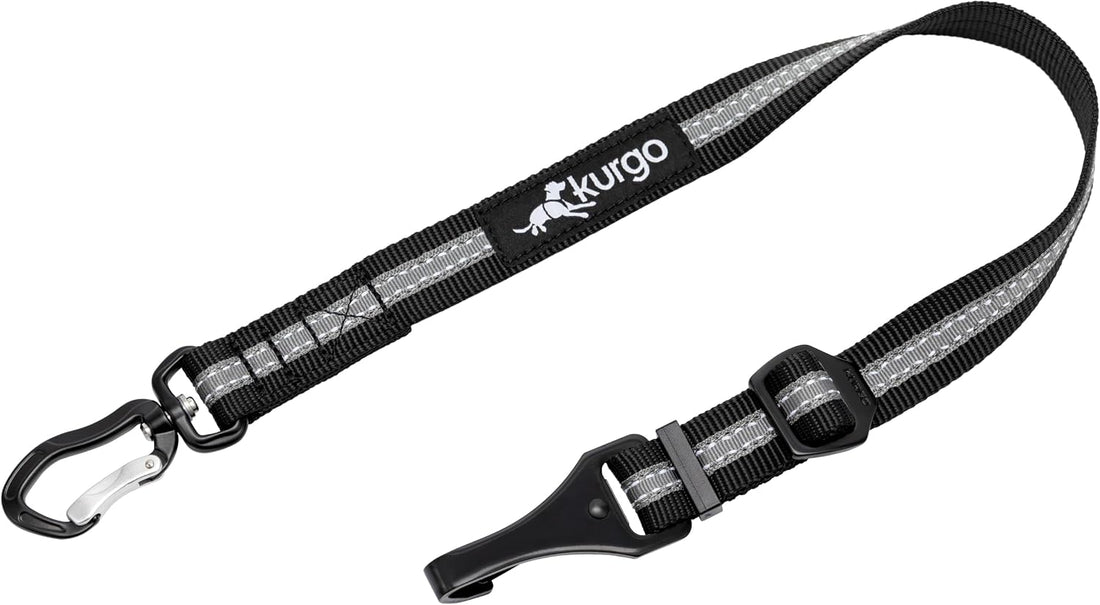 Kurgo Direct to Latch Swivel Tether, Charcoal