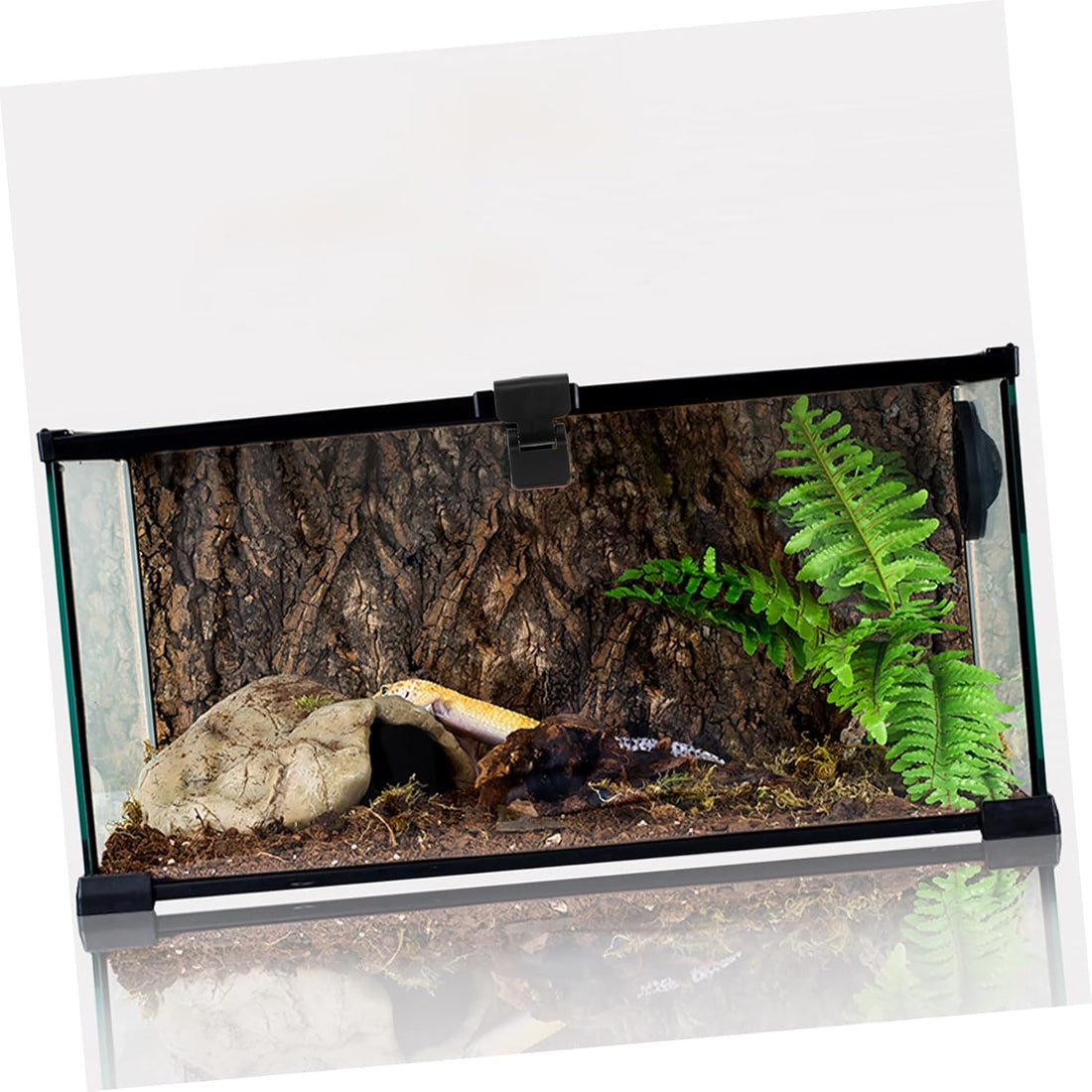 4Pcs Turtle Terrarium Buckle Anti-Escape Lock Reptile Feeding Tank
