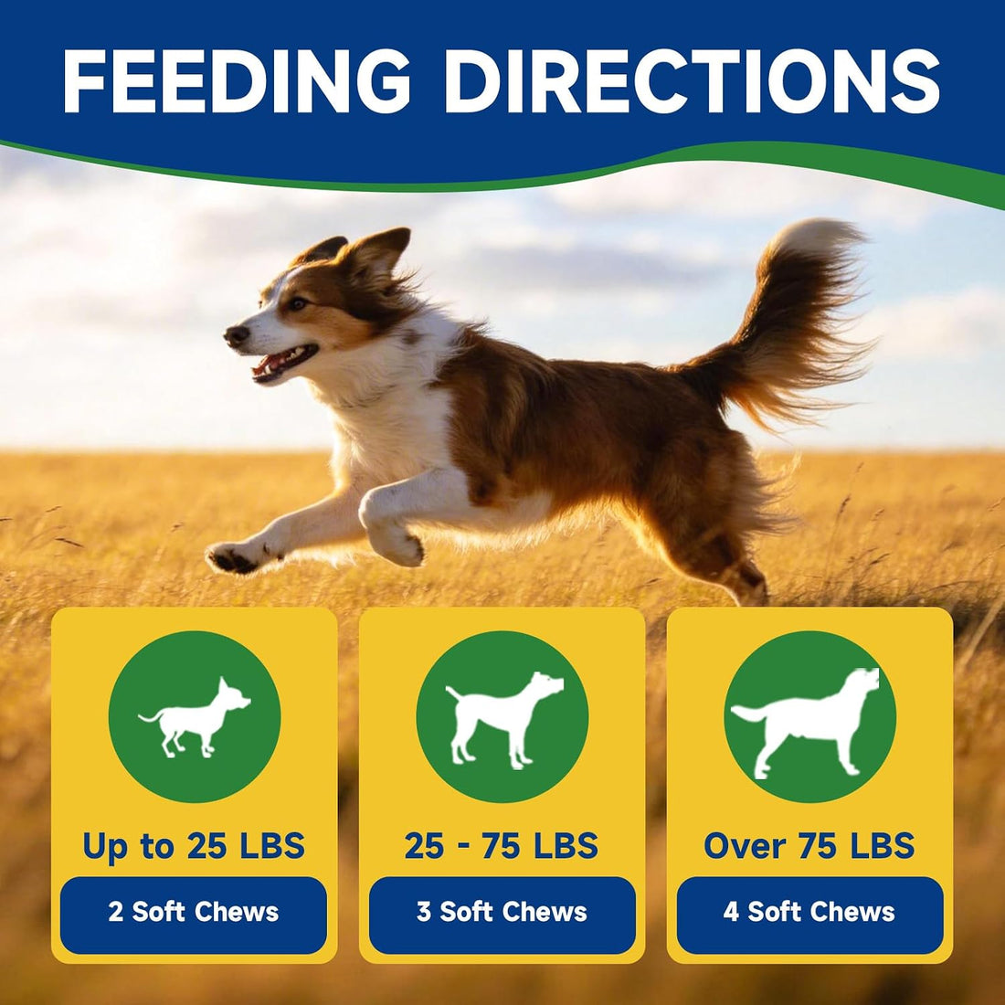 NAD+ Soft Chews for Dogs & L-Lysine for Cats