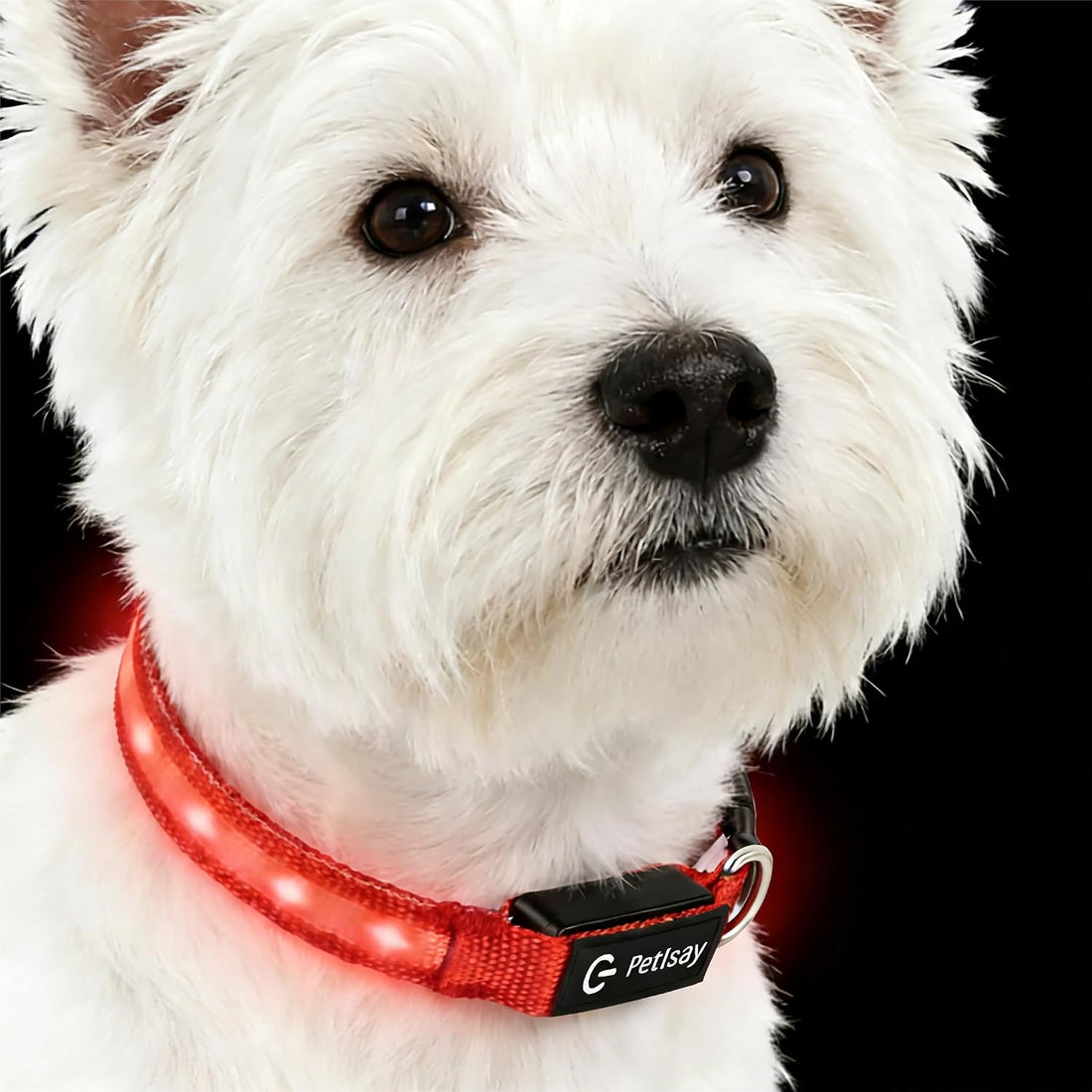 Super Bright LED Dog Collar, Waterproof Light up Collars