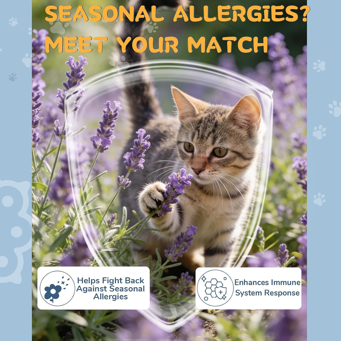 L-Lysine Supplement for Cats