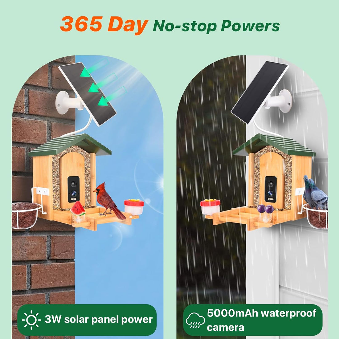 Smart Bird Feeder with Camera Solar Powered