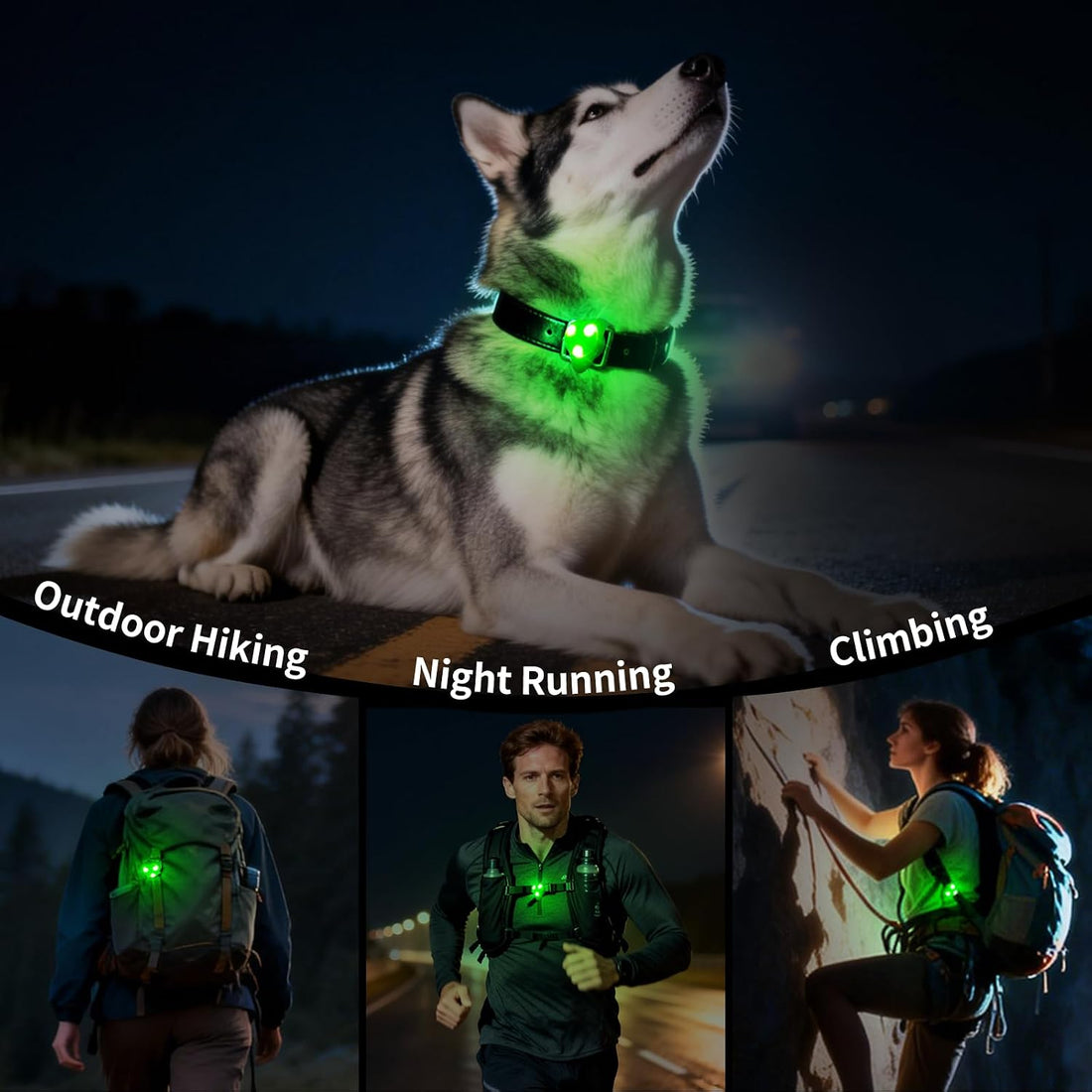 LaRoo Dog Lights - Led Collar Lights for Nighttime Walking