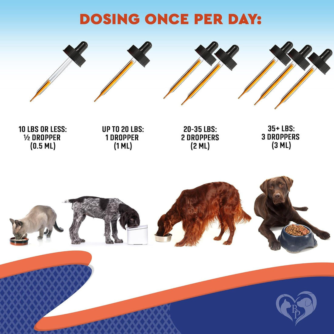Probiotics & Prebiotics with Enzymes for Dogs and Cats