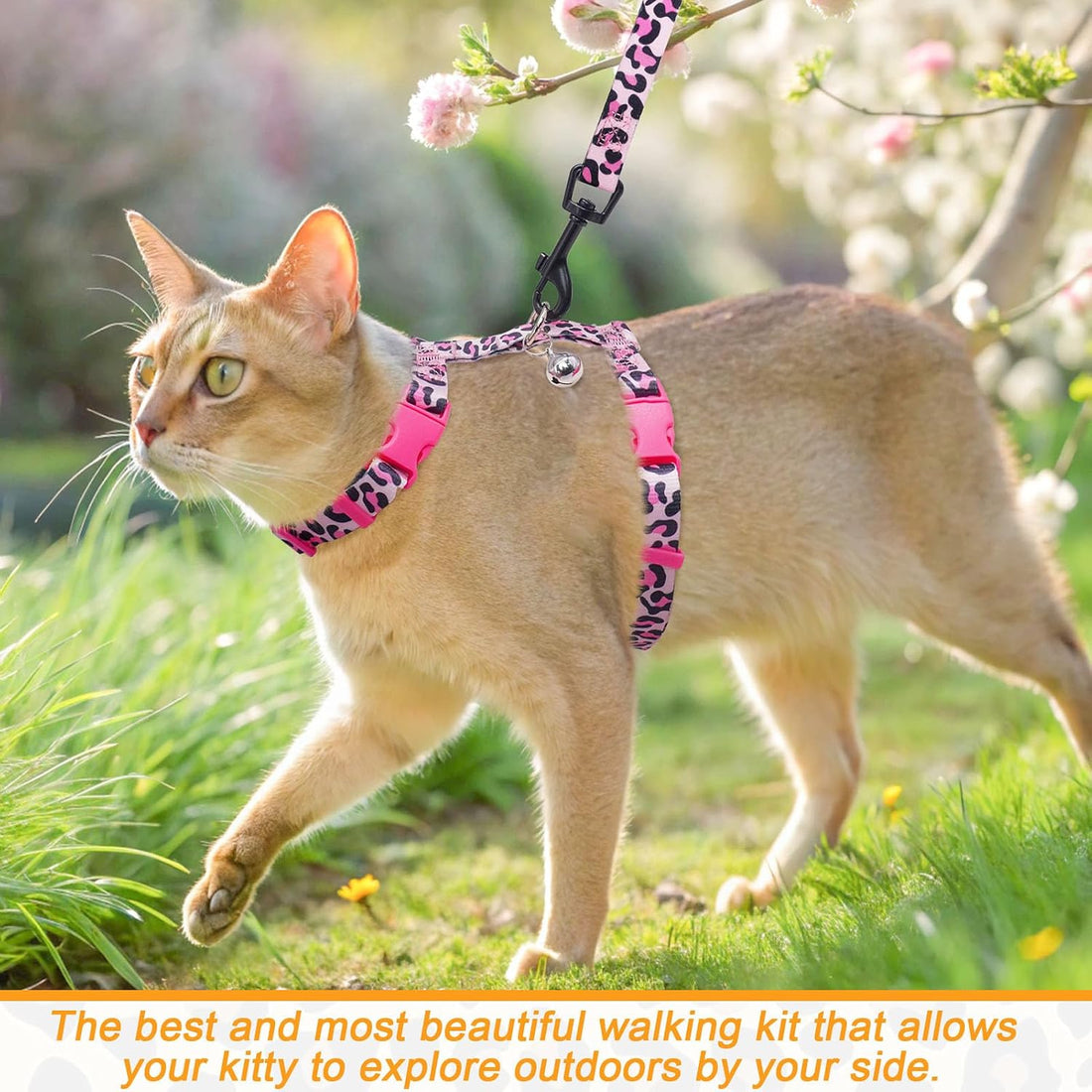 BEAUTYZOO Cat Harness and Leash Set Escape Proof for Walking