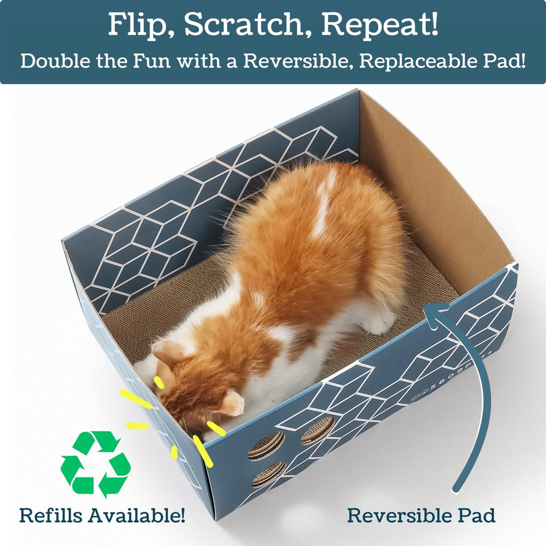 5609PETS Cat Scratching Box, Extra Large Refillable Double-Sided