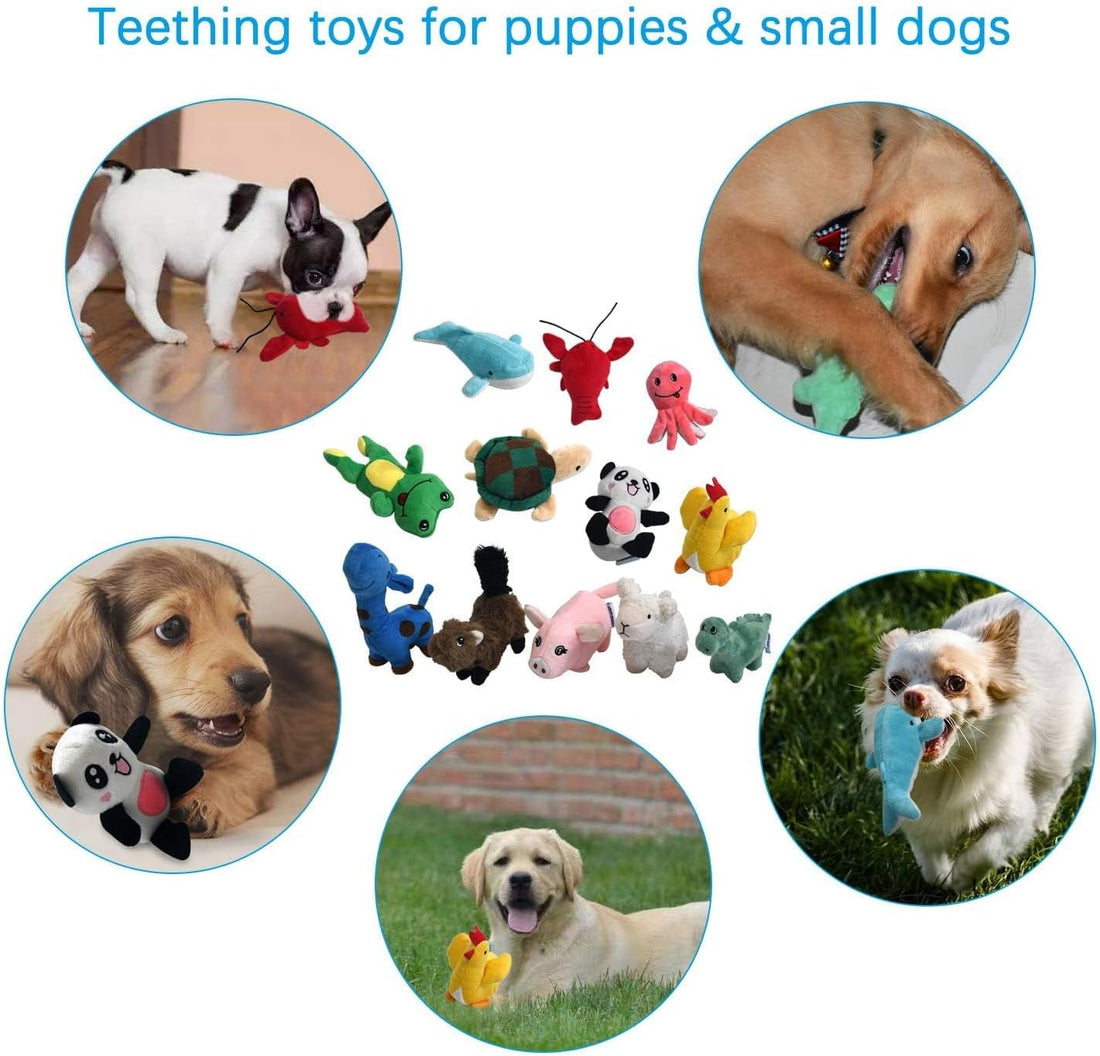 LEGEND SANDY Squeaky Plush Dog Toy Pack for Puppy
