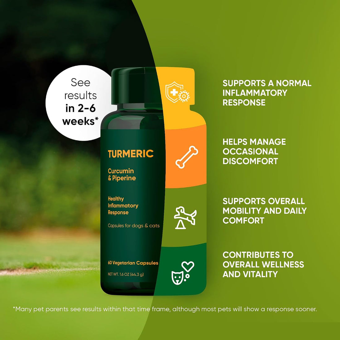 Turmeric for Dogs & Cats Supplement - Anti-Inflammatory Relief