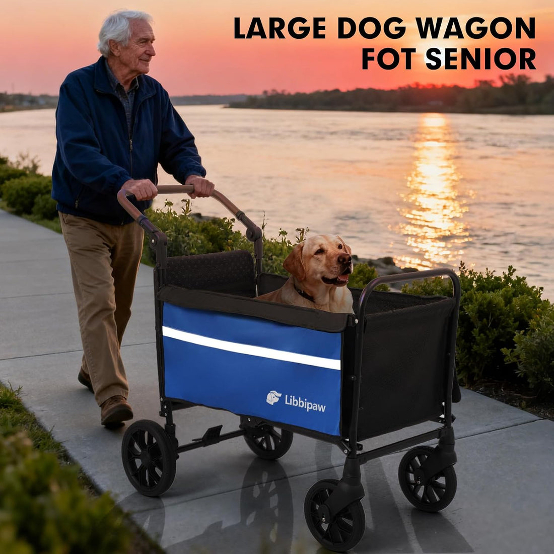 Foldable Dog Wagon for Medium & Large Dogs, Senior Dog Cart