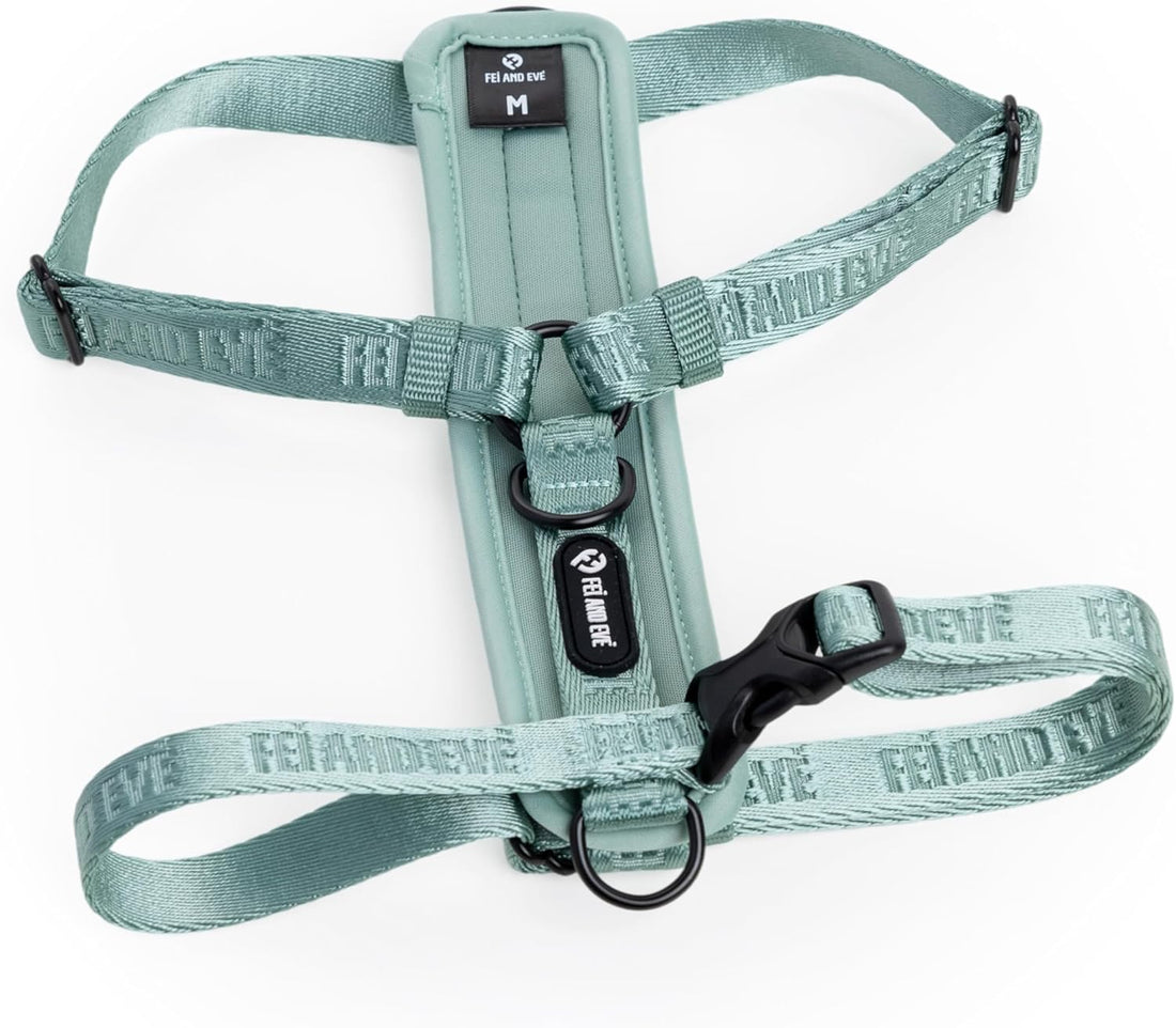 Fei & Eve Moxie Dog Harness for Small & Medium Dogs