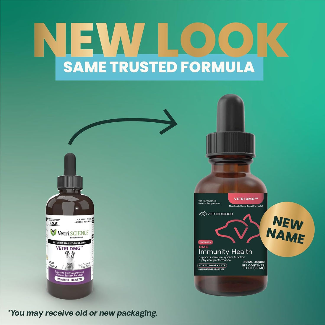 VetriScience DMG Immunity Health Easy-Dose Liquid for Dogs and Cats