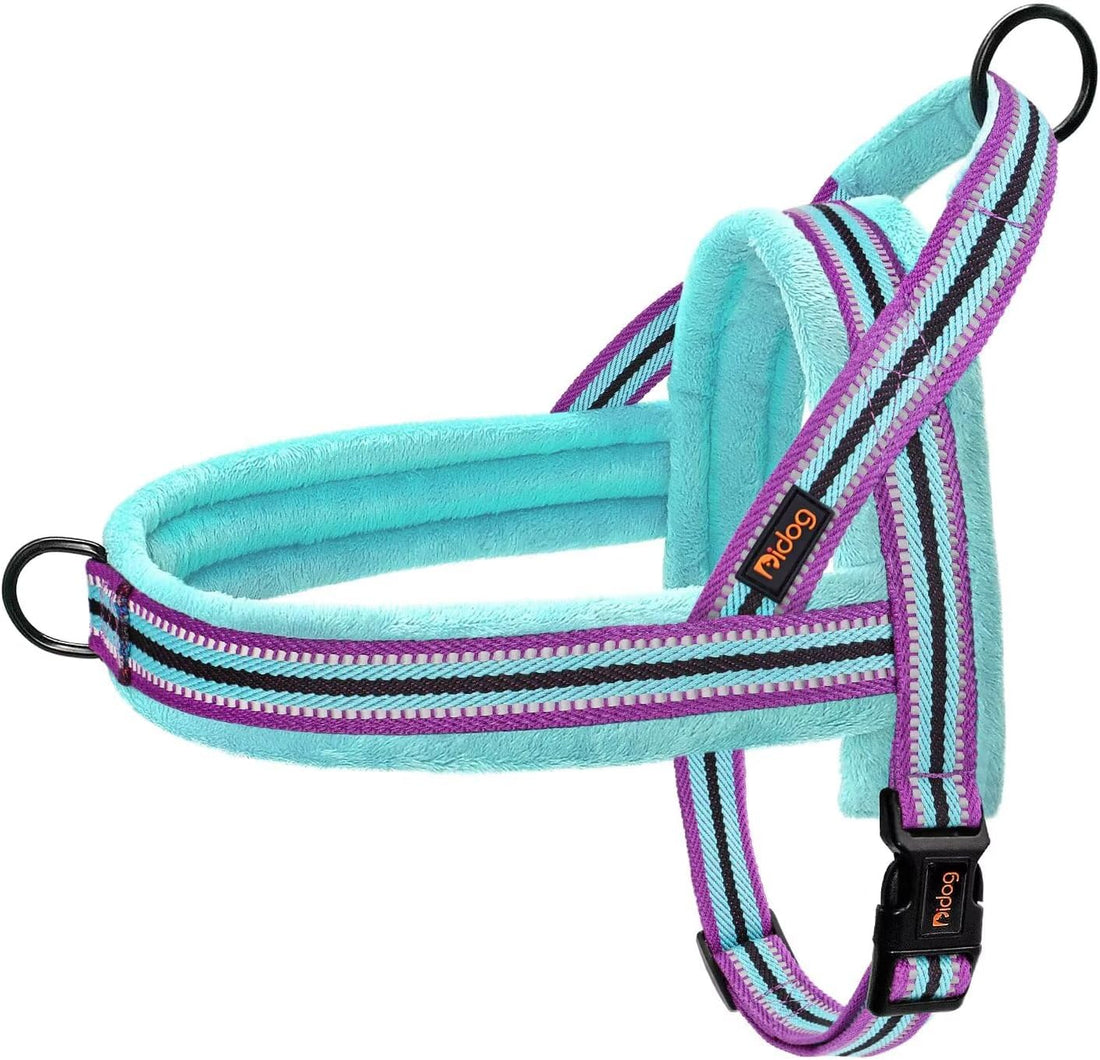 Didog No Pull Dog Harness for Small Dogs