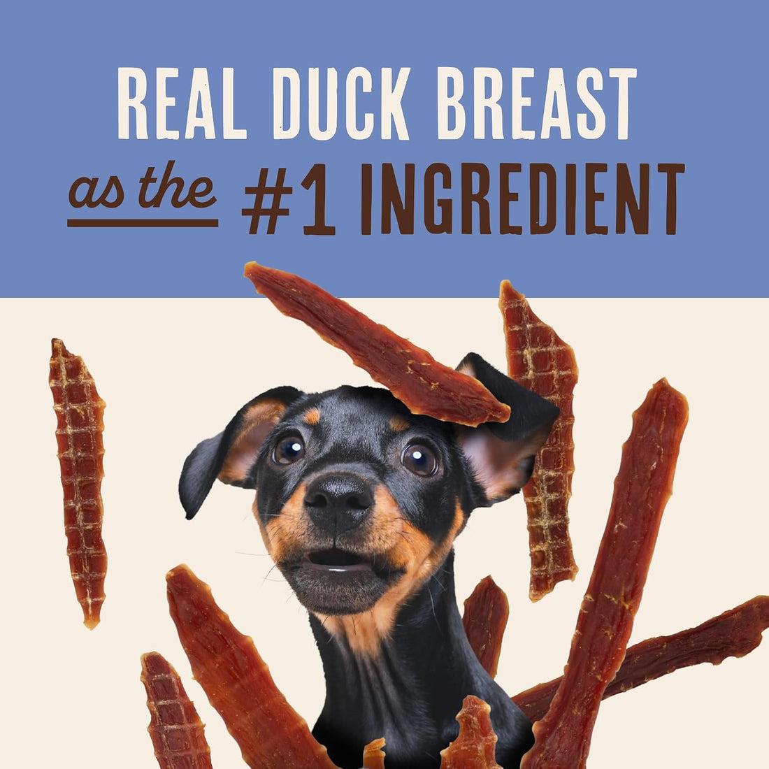 Waggin' Train Duck Jerky Dog Treats for Dogs with Sensitive Stomachs