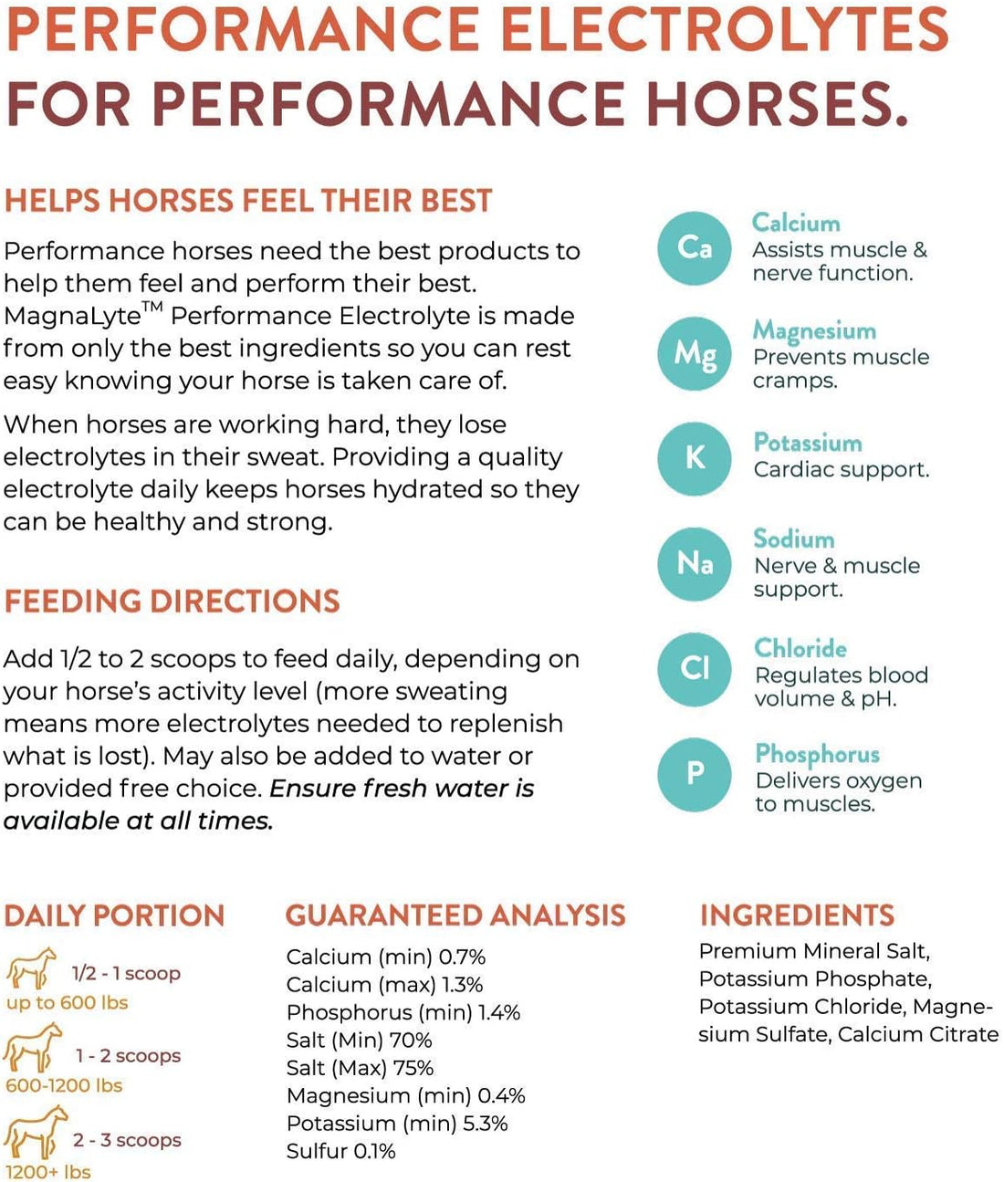 MagnaLyte Loose Salt and Electrolytes for Horses by Eagle Equine