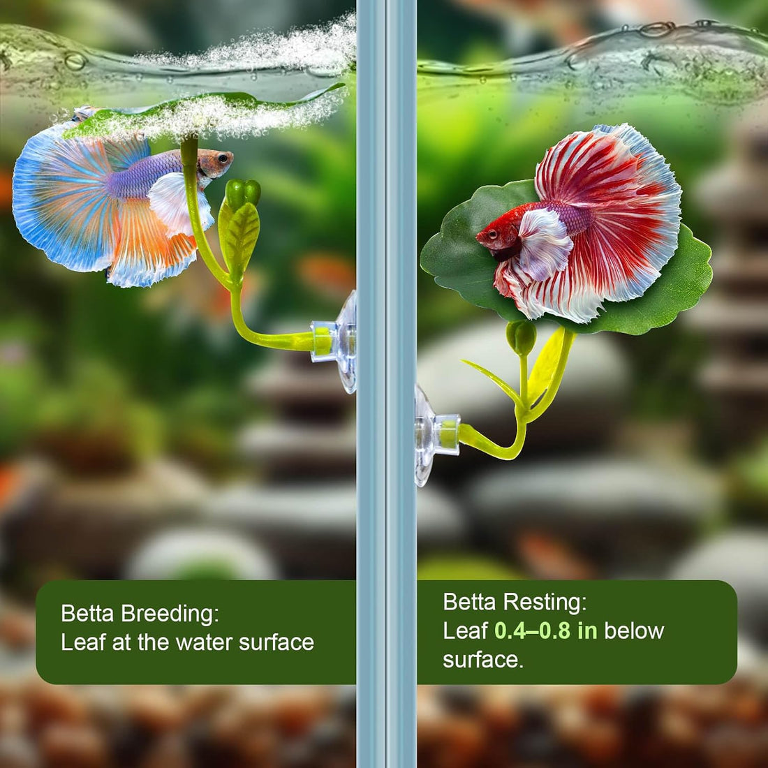 5 Pcs Betta Hammock Leaf & Tunnel, Betta Fish Tank Accessories