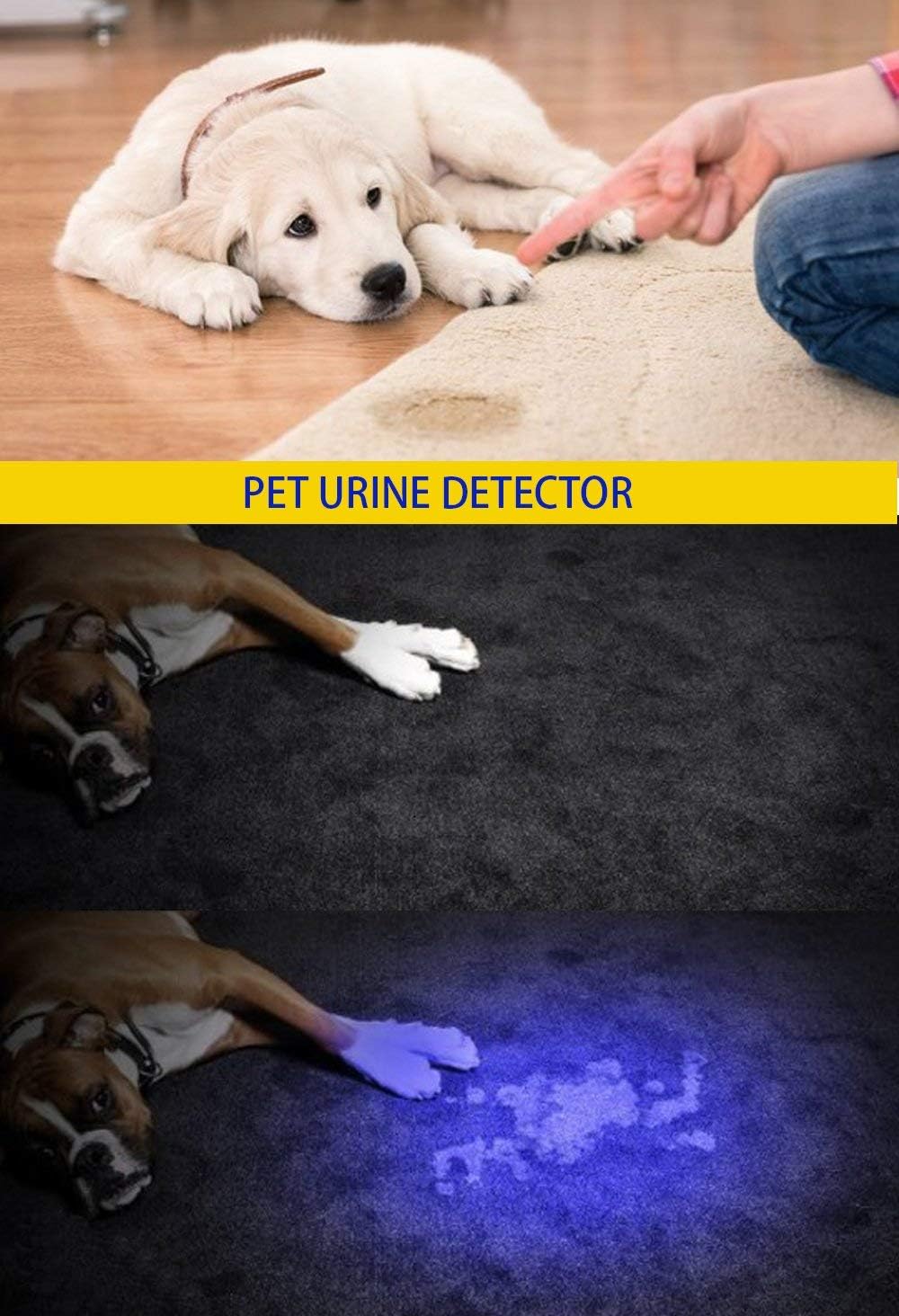DARKBEAM UV 395nm Flashlight Blacklight Wood's lamp Black Light Mini
