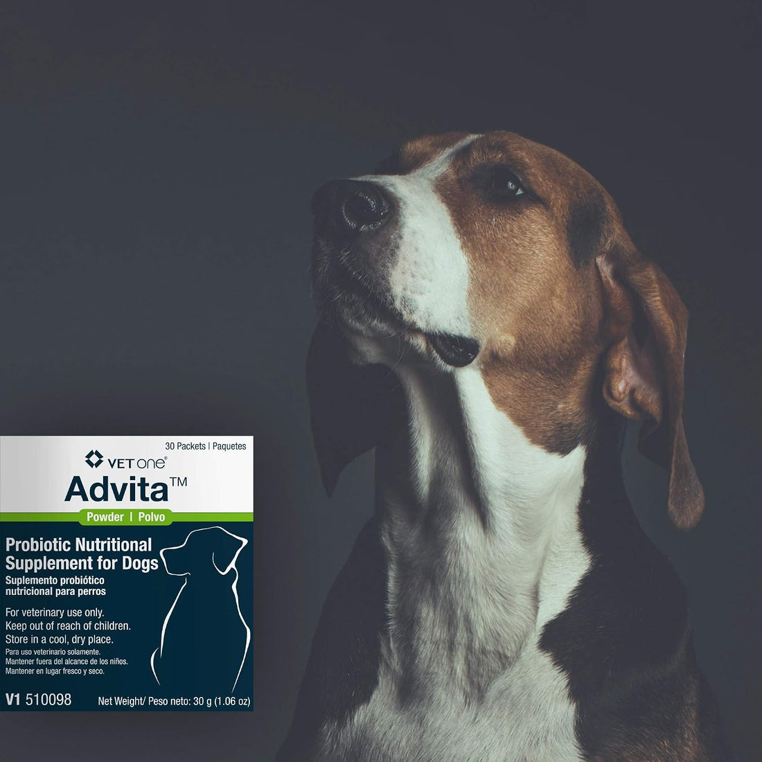 VetOne Advita Probiotic Nutritional Supplement for Dogs - 30