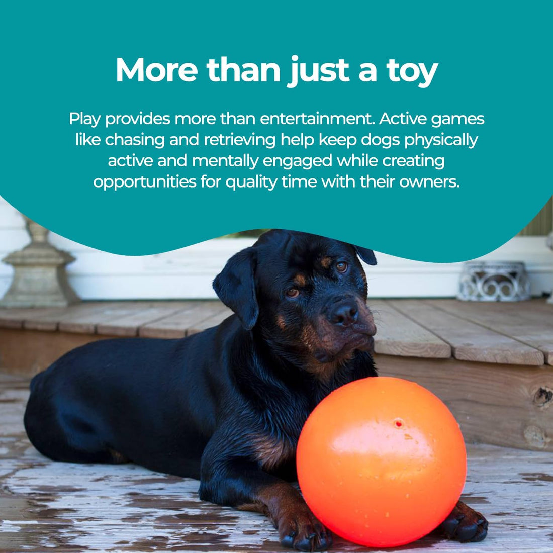 Jolly Pets Bounce-n-Play Dog Toy Ball, 8 Inches/Large, Orange,