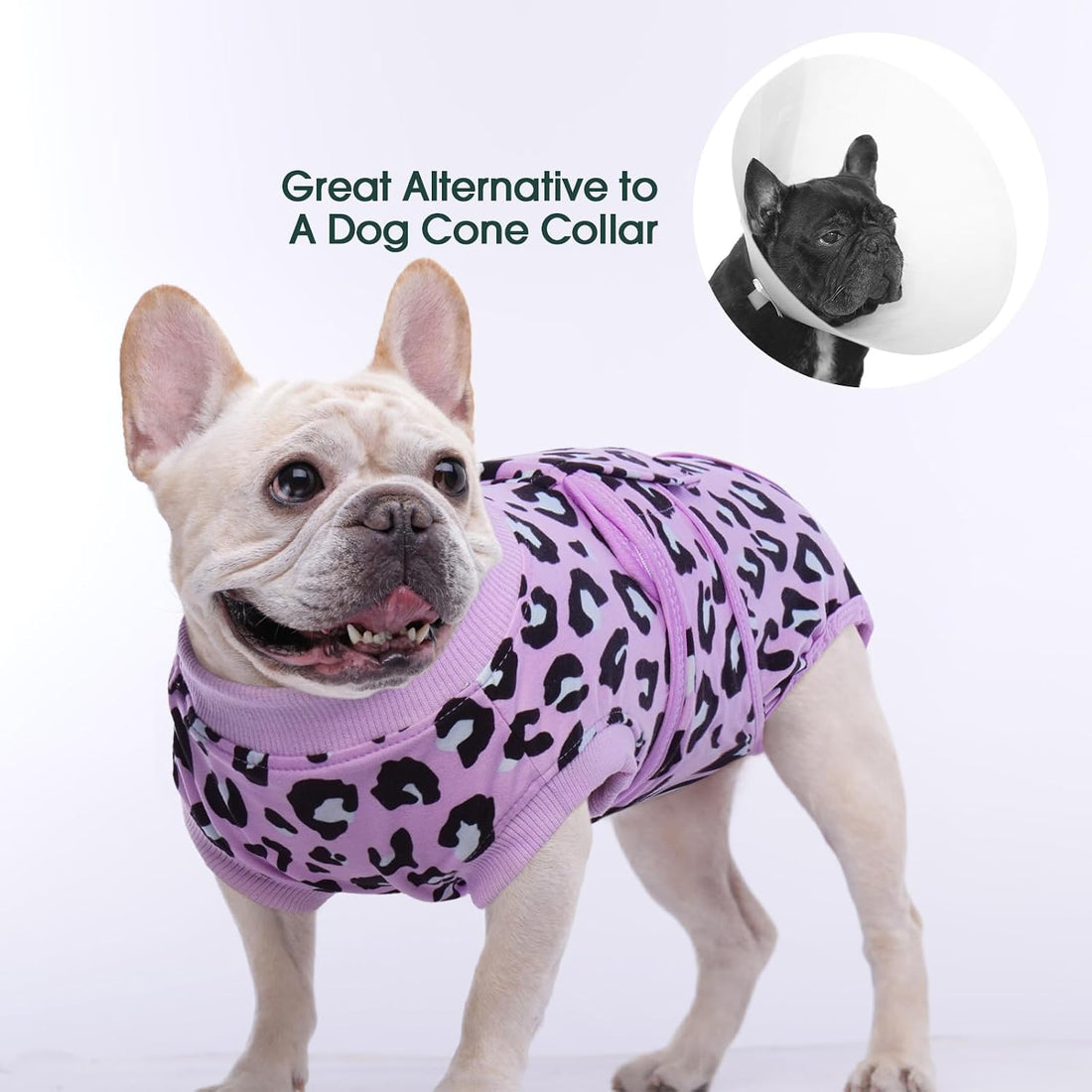 Kuoser Dog Recovery Suit for Dogs After Surgery,Professional Surgical