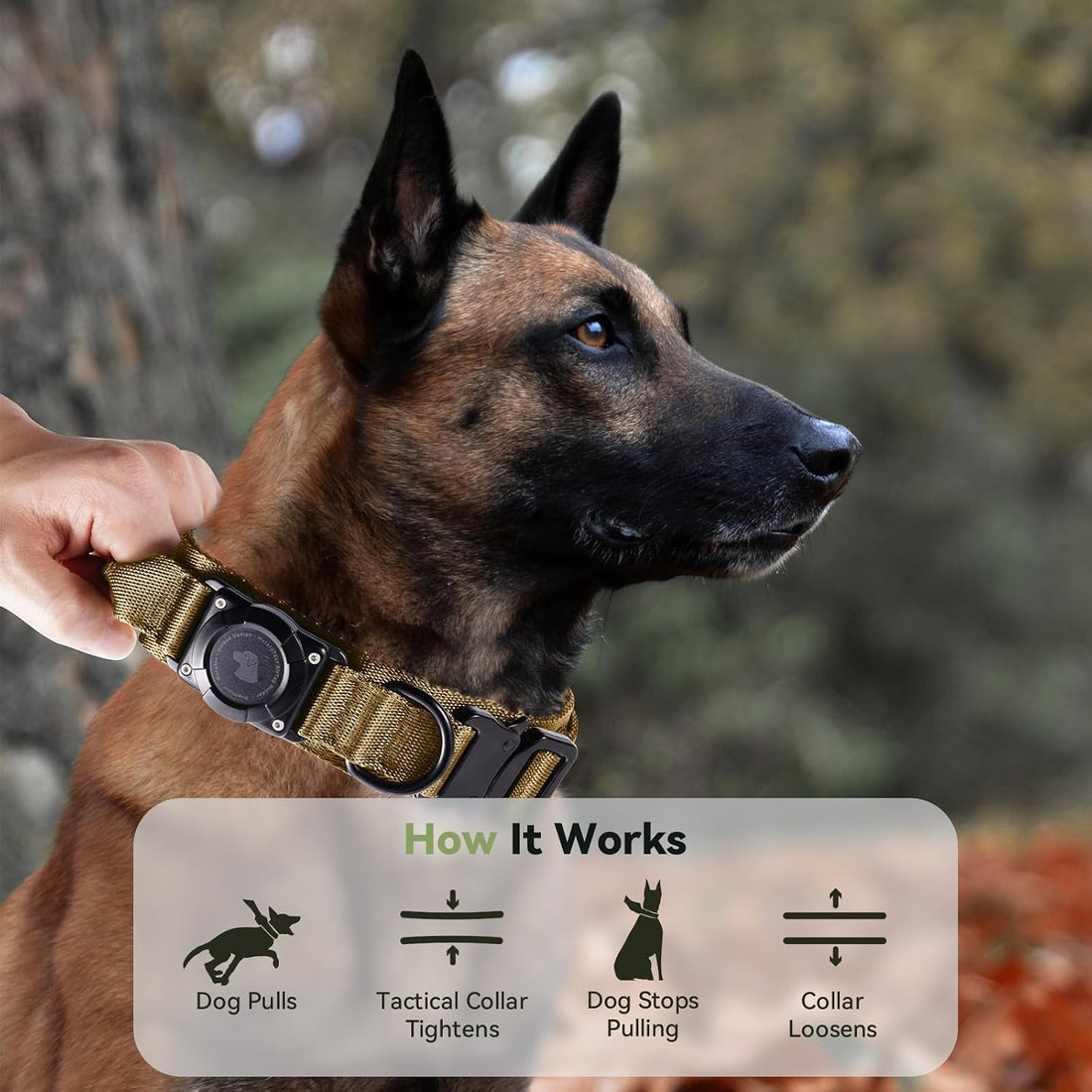 2026 Upgrade Waterproof AirTag Dog Collar