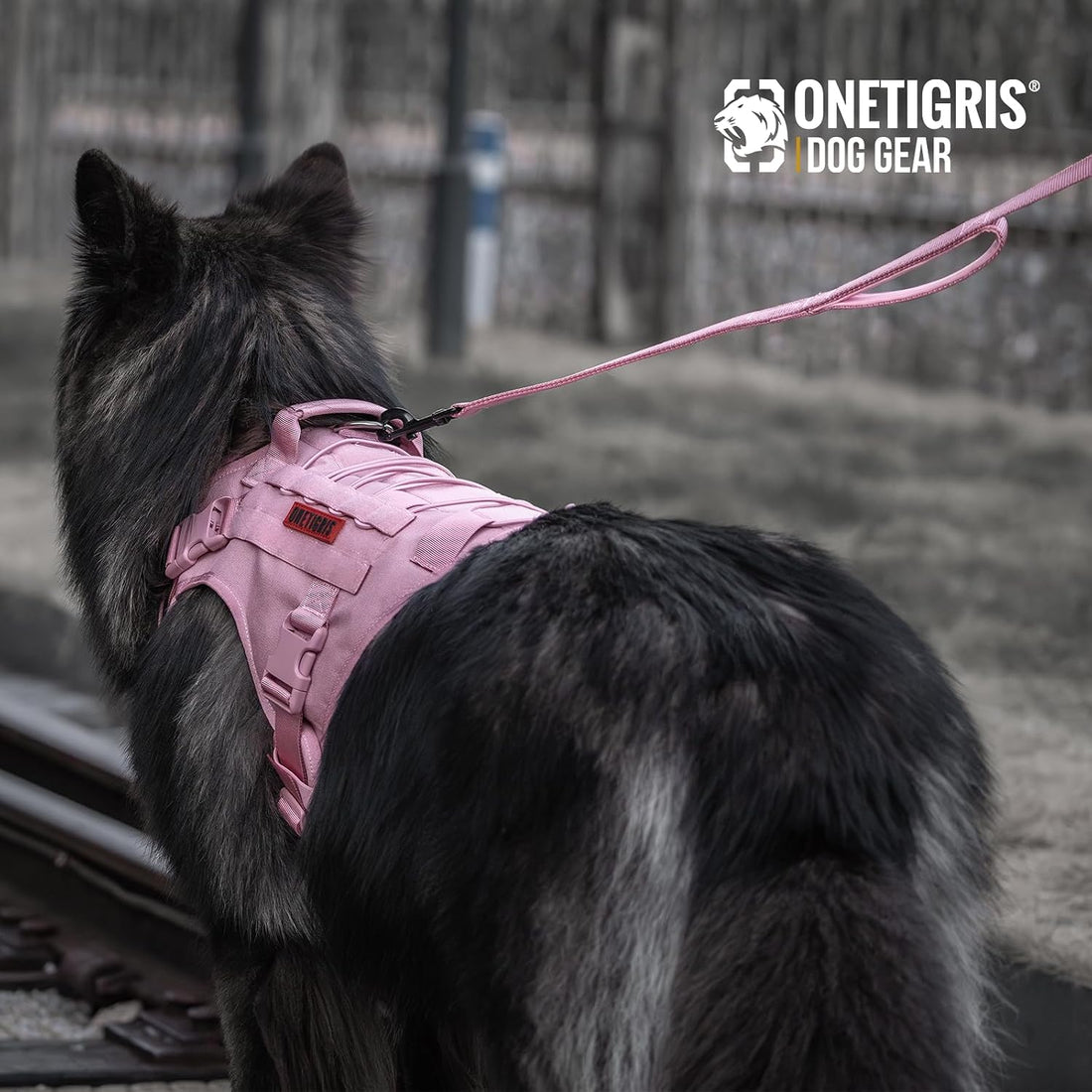 OneTigris Handled No-Pull Dog Walking Leash Long Traffic Leads