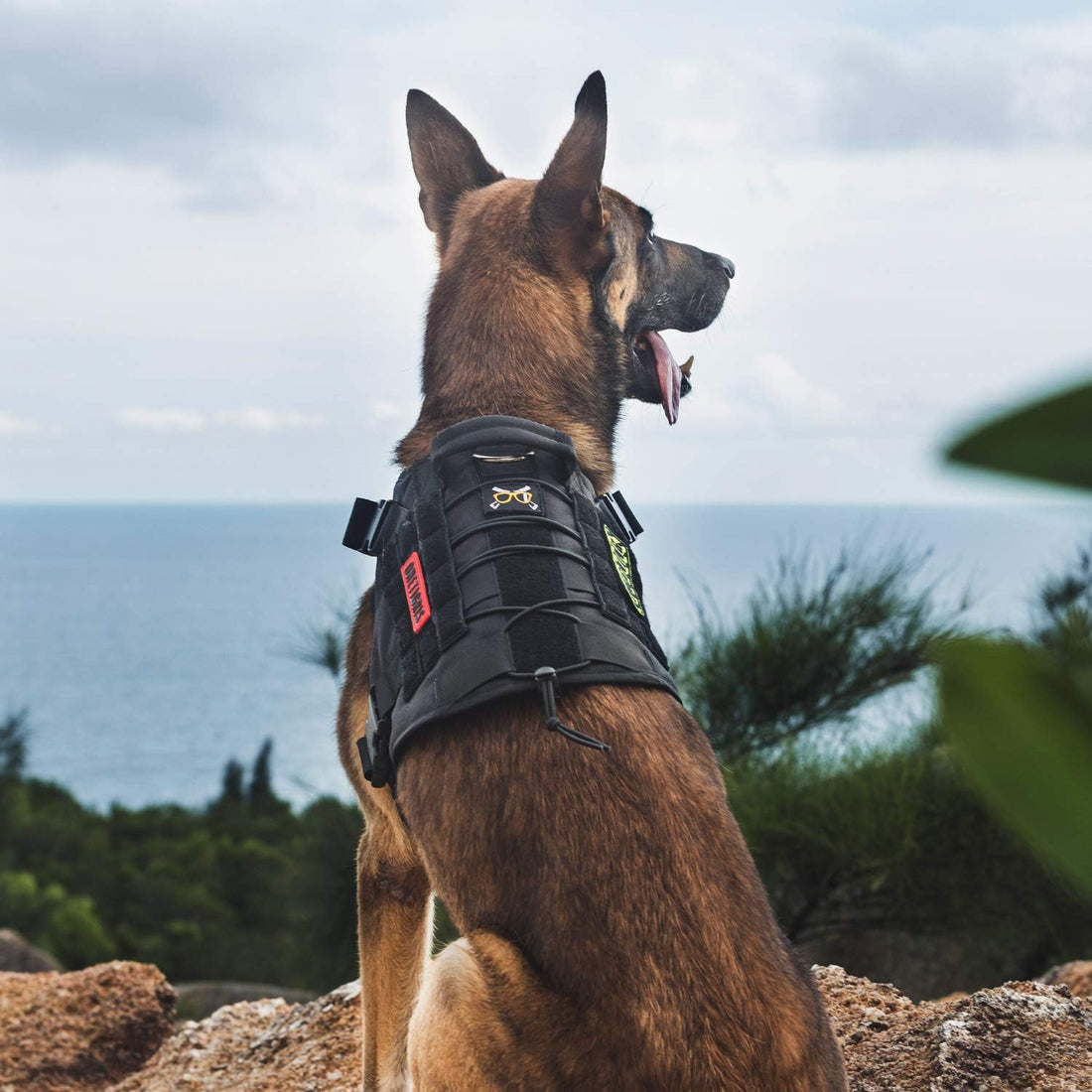 OneTigris Tactical Dog Harness with Handle for Small Medium Dogs