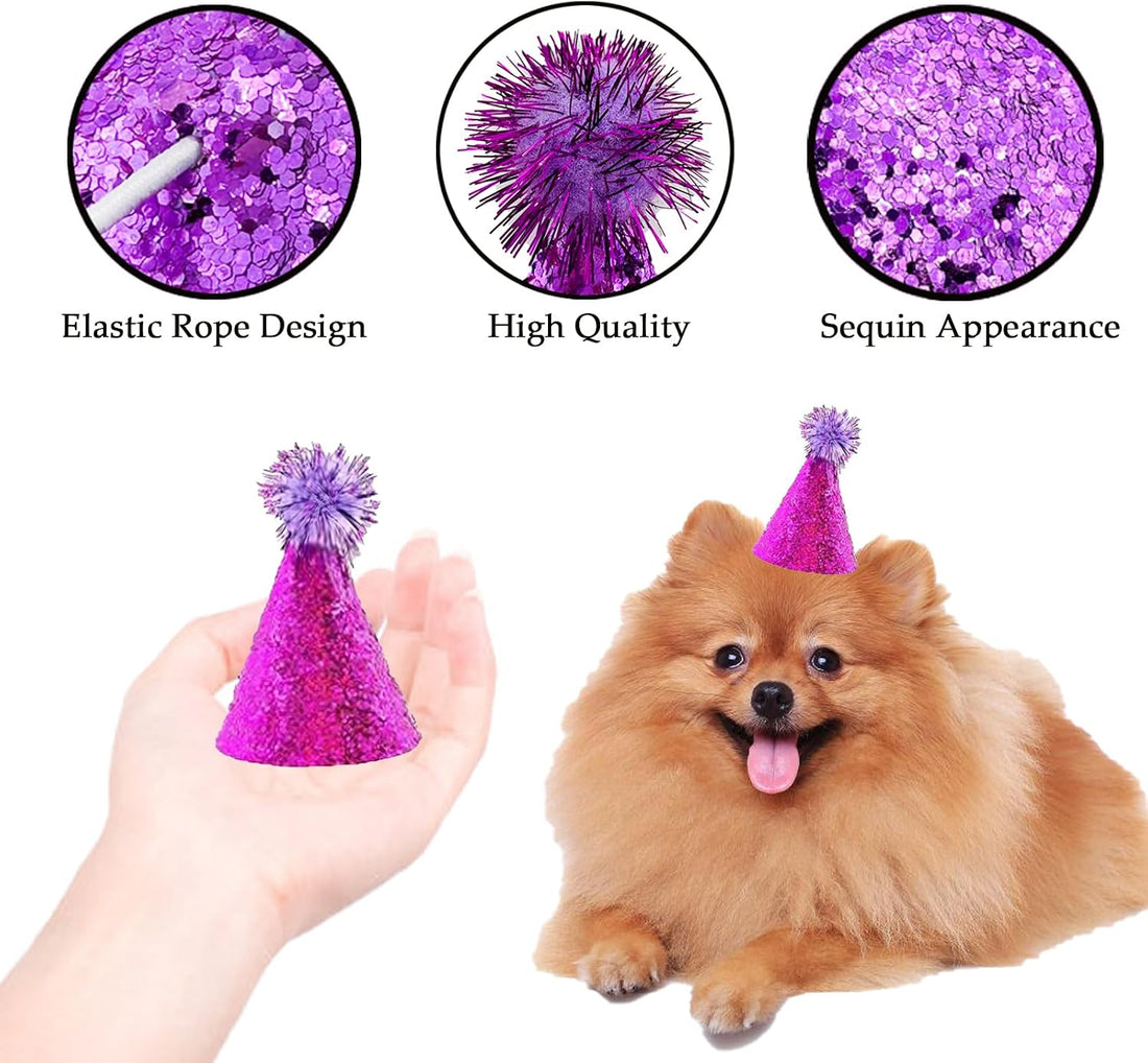 10 Pcs Dog Birthday Hat Set for Small Medium Dogs Cat Puppies