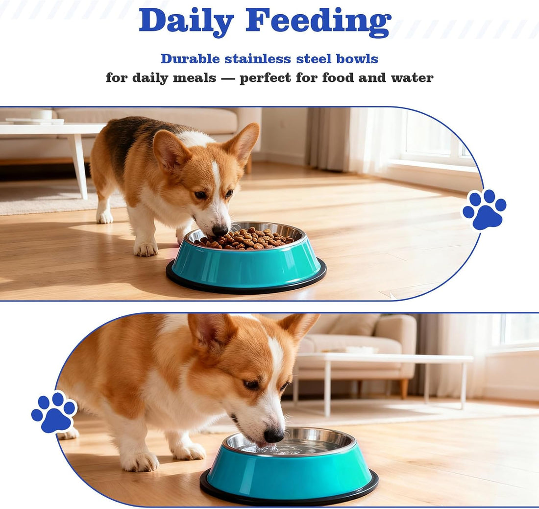 Puppy Supplies Starter Kit, Blue Puppy Essentials for Small Dogs