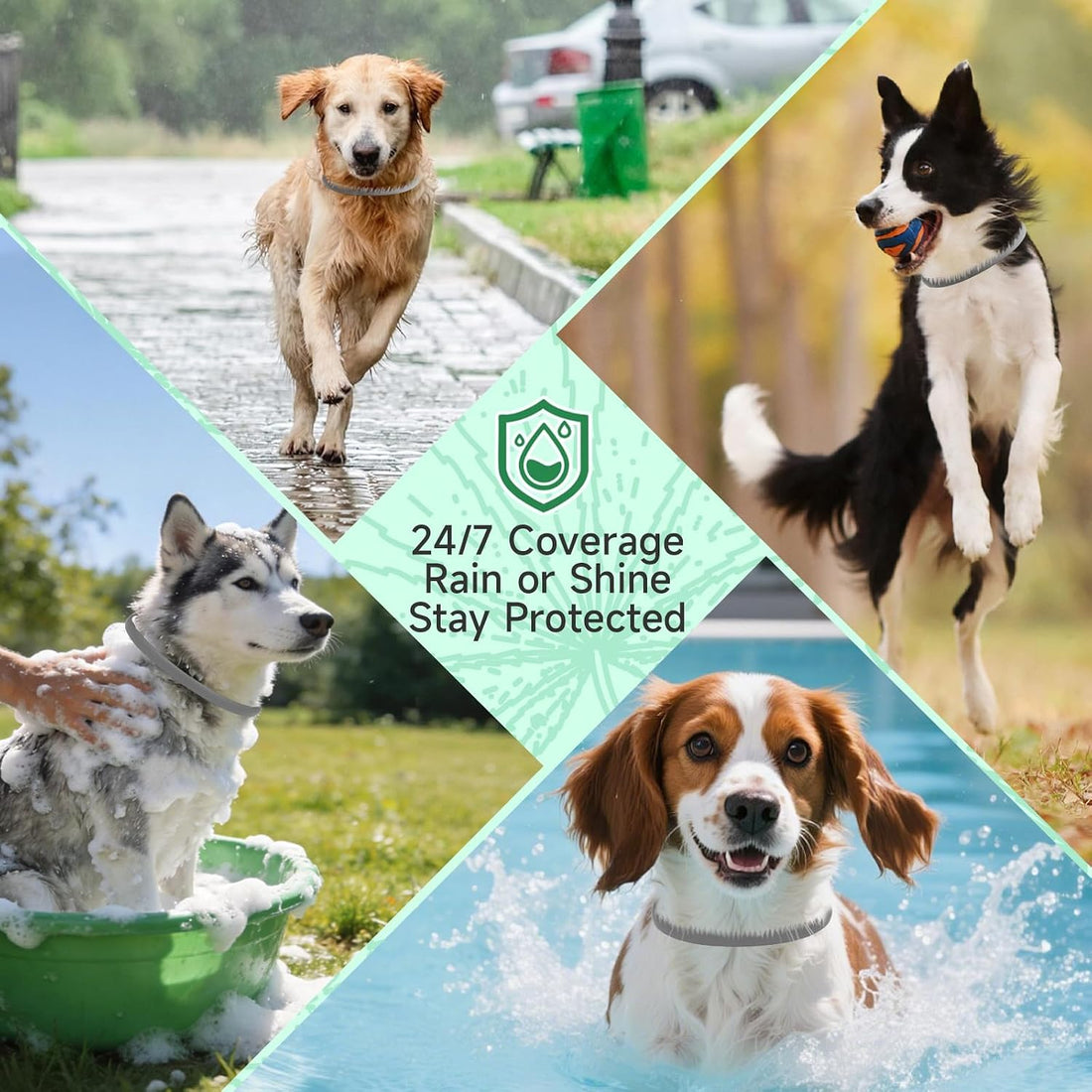 4 Pack Flea Collar for Dogs, 32 Months Flea and Tick Prevention